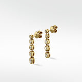 Shimmer Graudated  Earrings