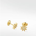 Star Diamond PavŽ Stud Earrings in 14K Gold - Lark and Berry